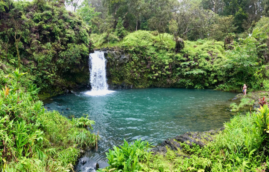 7 Sacred Pools & Pipiwai Trail | Explore Maui Nature